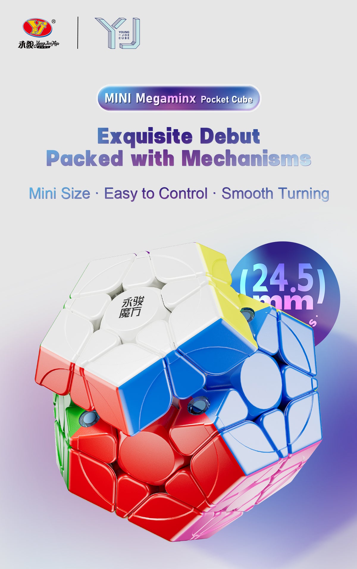 YJ Pocket Mini Megaminx